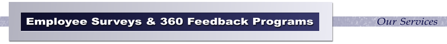 Our Services Employee Surveys & 360 Feedback Programs